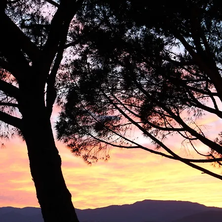 Mas De Chastelas Gassin