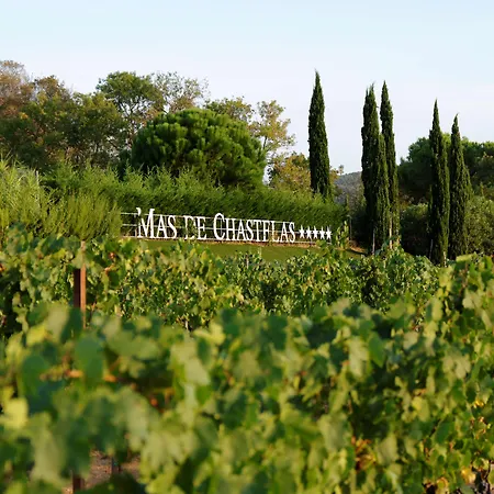Mas De Chastelas 5* Gassin
